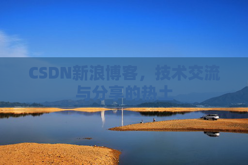 CSDN新浪博客，技术交流与分享的热土